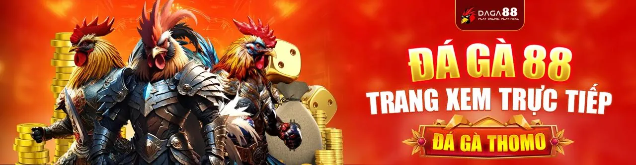 Đá gà trực tuyến 6ff3
